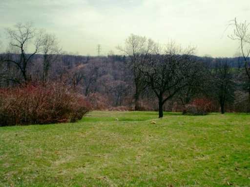 3069 Sylvan Road Ambridge, PA 15003 - Photo 4 of 6 Gallery Image 4