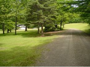 2411 Stone Crop Road Hallstead, PA 18822 - Photo 6 of 6 Gallery Image 6