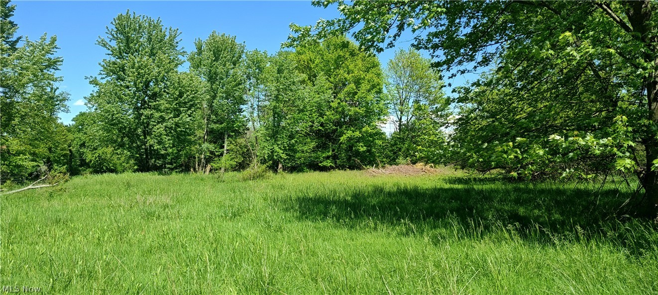 10565 Springfield Road Youngstown, OH 44514 - Photo 10 of 11 Gallery Image 10