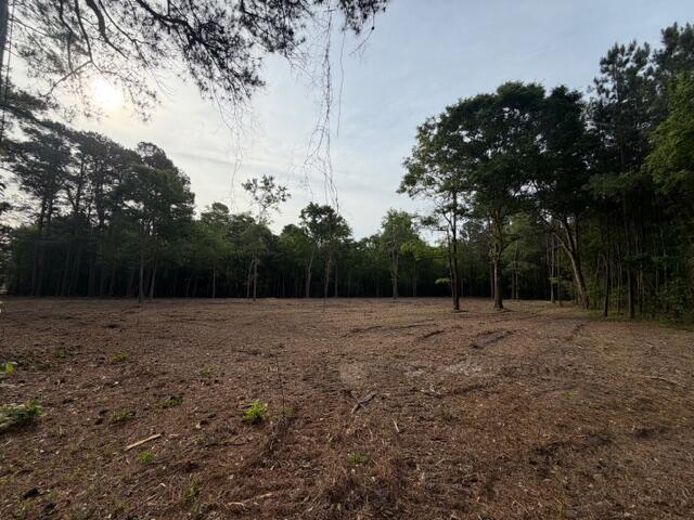 3 Trojan Road Cross, SC 29436 - Photo 9 of 21