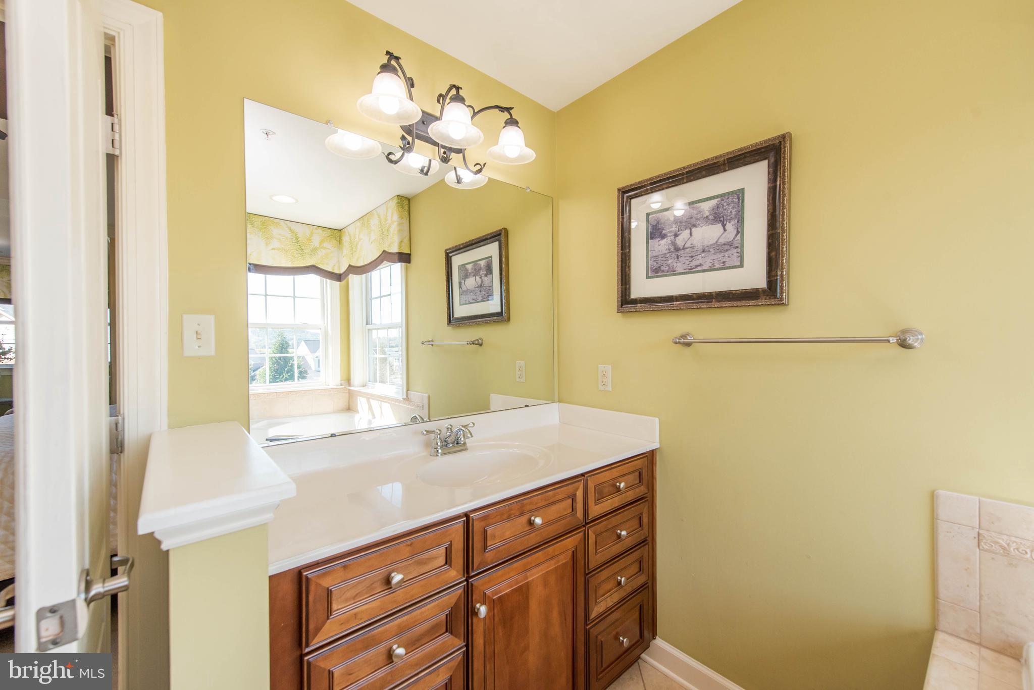 1701 Fletchers Drive Point of Rocks, MD 21777 - Photo 34 of 65 Primary Bath w/dualv anities.