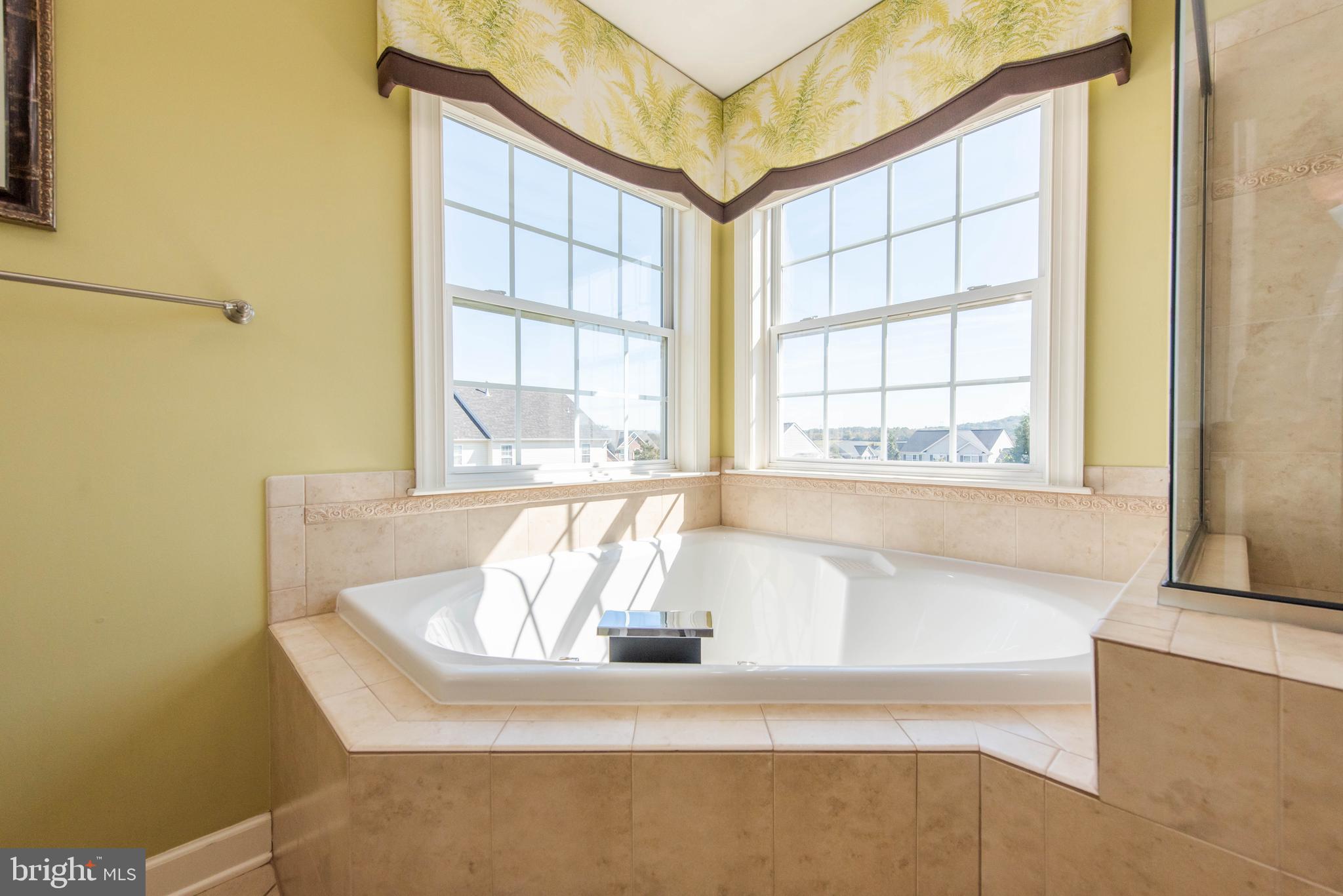 1701 Fletchers Drive Point of Rocks, MD 21777 - Photo 37 of 65 Primary Bath has soaking tub.