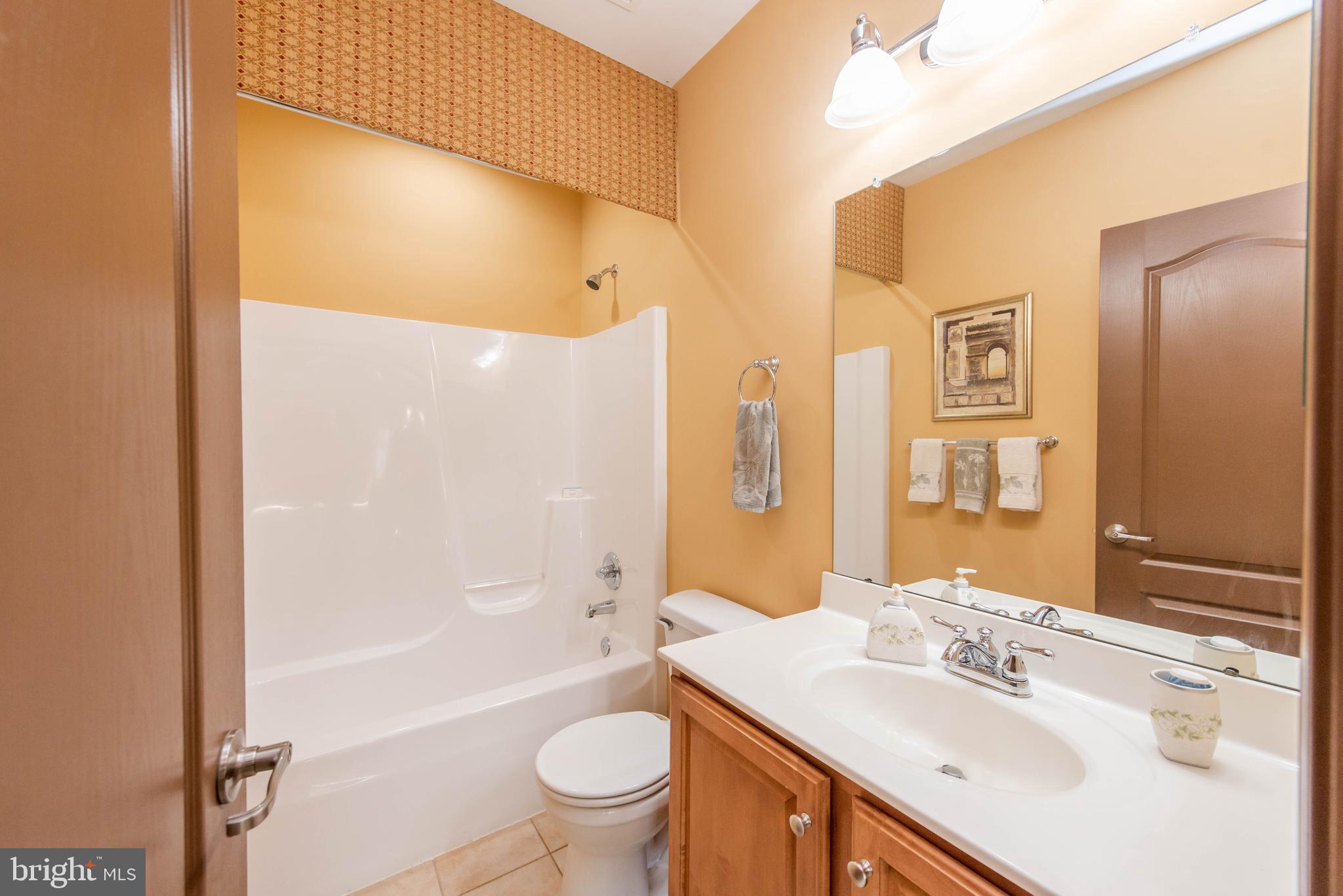 1701 Fletchers Drive Point of Rocks, MD 21777 - Photo 53 of 65 Basement Bath