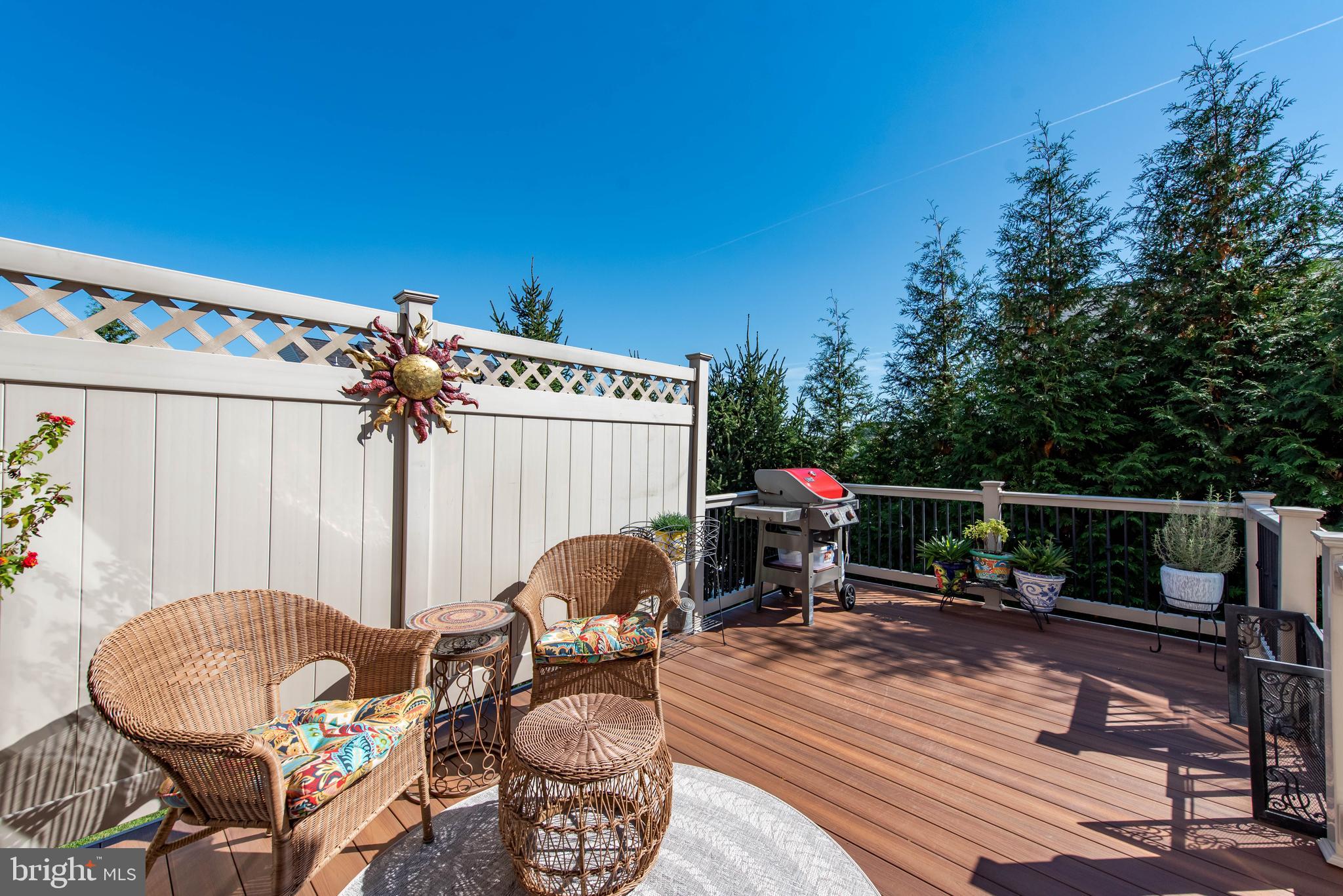 1701 Fletchers Drive Point of Rocks, MD 21777 - Photo 54 of 65 Deck with loads of privacy.