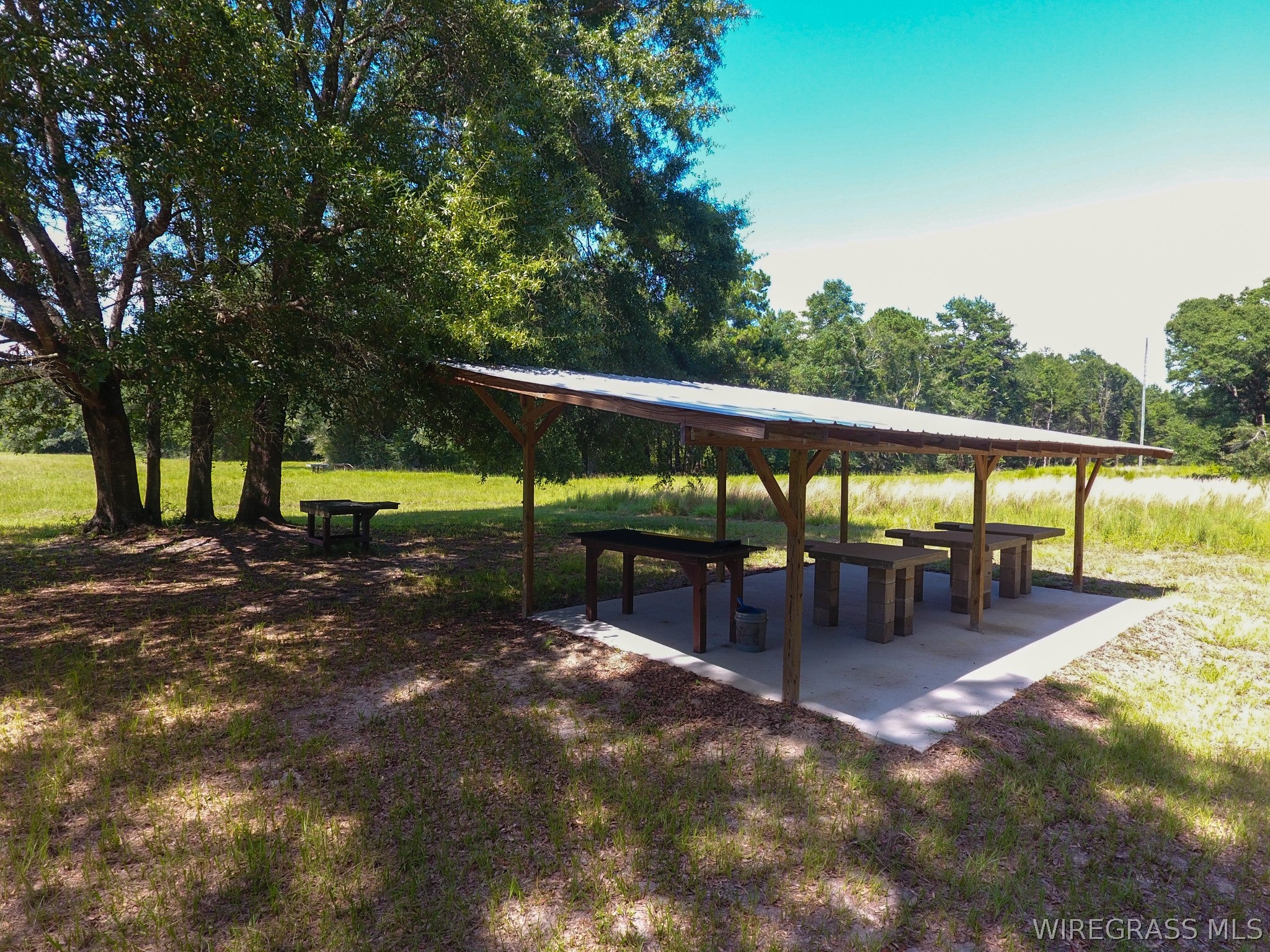 3433 Iron Bridge Road Samson, AL 36477 - Photo 50 of 57 Gallery Image 50
