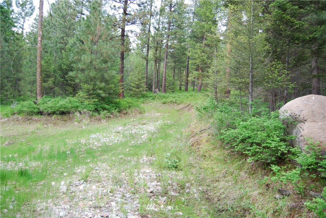 83 Stagecoach Trail Riverside, WA 98849 - Photo 13 of 19 Gallery Image 13