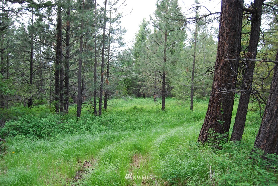 83 Stagecoach Trail Riverside, WA 98849 - Photo 14 of 19 Gallery Image 14