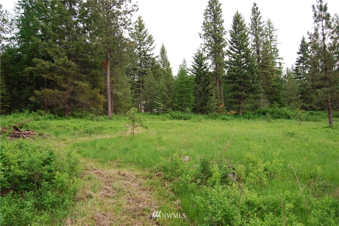 83 Stagecoach Trail Riverside, WA 98849 - Photo 16 of 19 Gallery Image 16