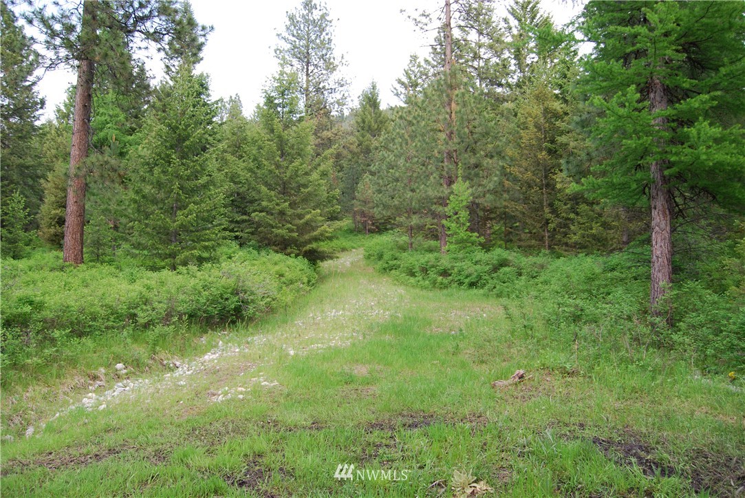 83 Stagecoach Trail Riverside, WA 98849 - Photo 10 of 19 Gallery Image 10