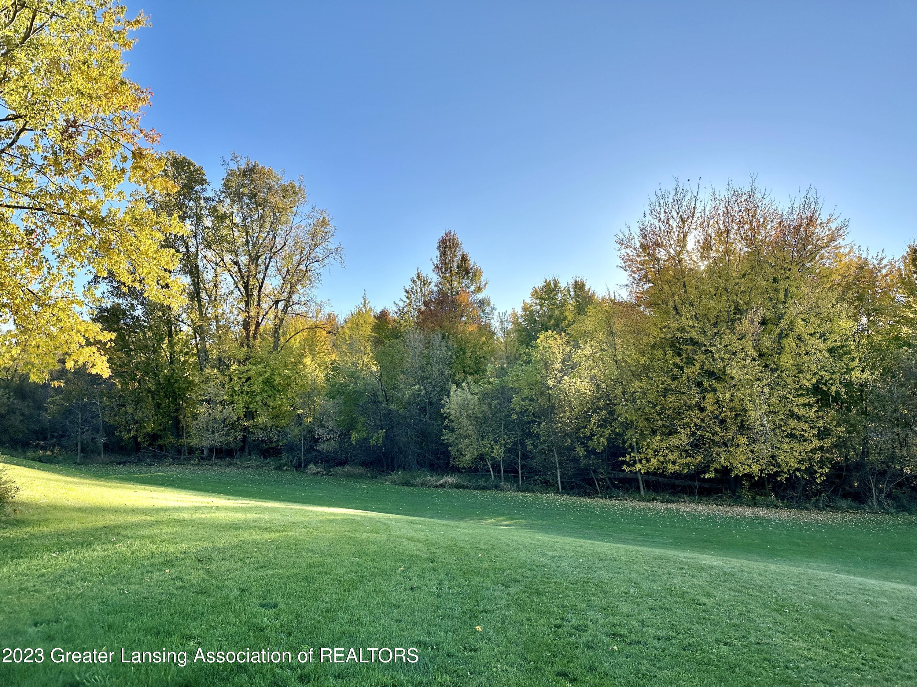 7461 West Chadwick Road Dewitt, MI 48820 - Photo 57 of 80 Backyard