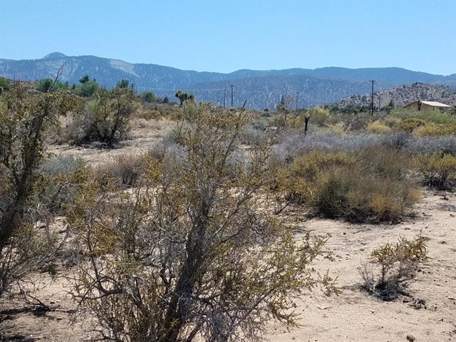 30 Sahara Road Phelan, CA 92371 - Photo 1 of 1 a view of a large mountain with an outdoor space