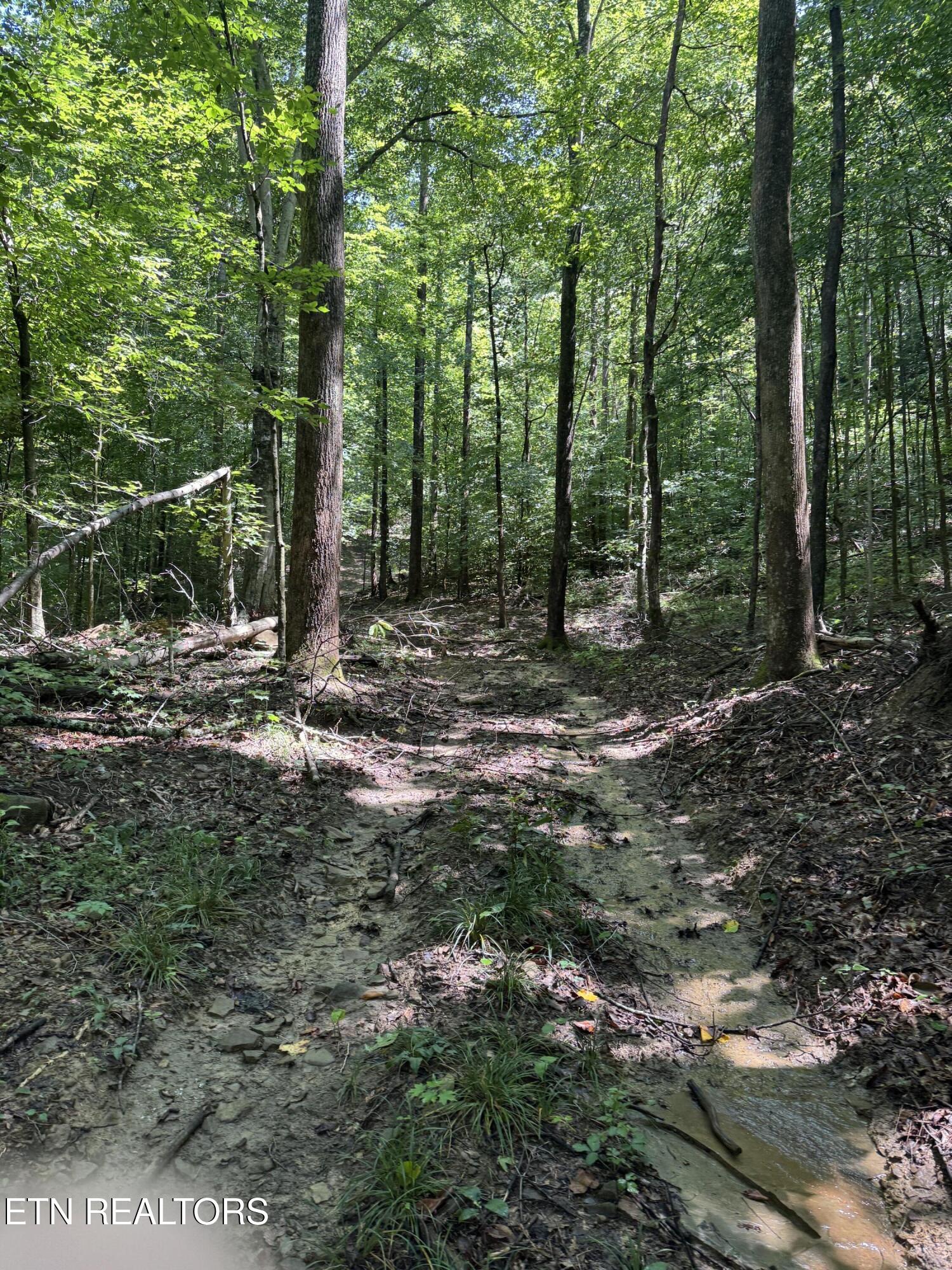 557 Half Moon Road Oliver Springs, TN 37840 - Photo 35 of 48 IMG_5071