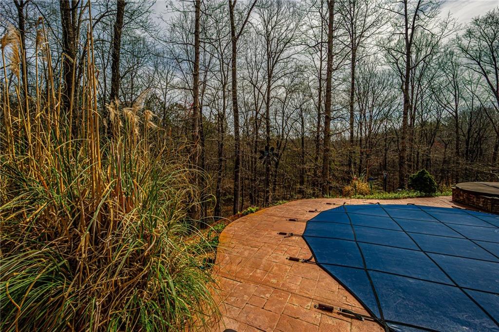 3718 Pebble Creek Point Gainesville, GA 30506 - Photo 110 of 144 a view of backyard with barbeque oven and trees