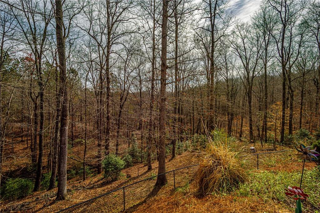 3718 Pebble Creek Point Gainesville, GA 30506 - Photo 116 of 144