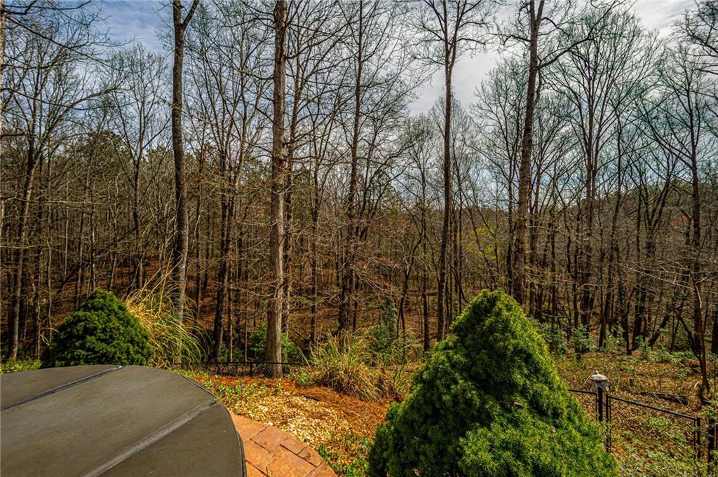3718 Pebble Creek Point Gainesville, GA 30506 - Photo 120 of 144