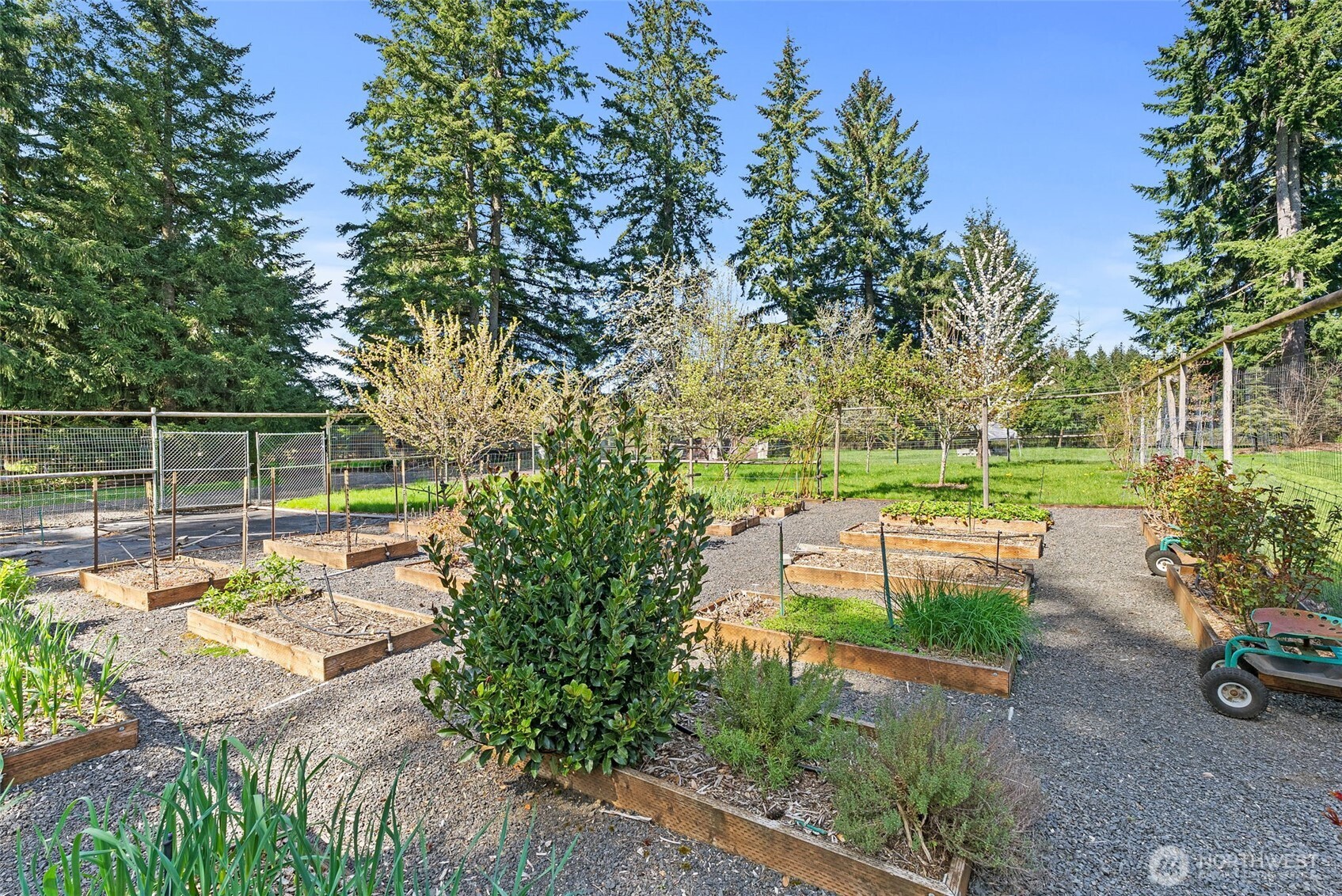 139 Ramsey Road Chehalis, WA 98532 - Photo 33 of 40 a view of a backyard with sitting area