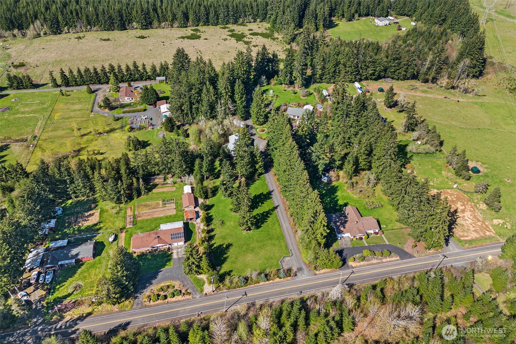 139 Ramsey Road Chehalis, WA 98532 - Photo 4 of 40 a view of a yard with plants and large trees