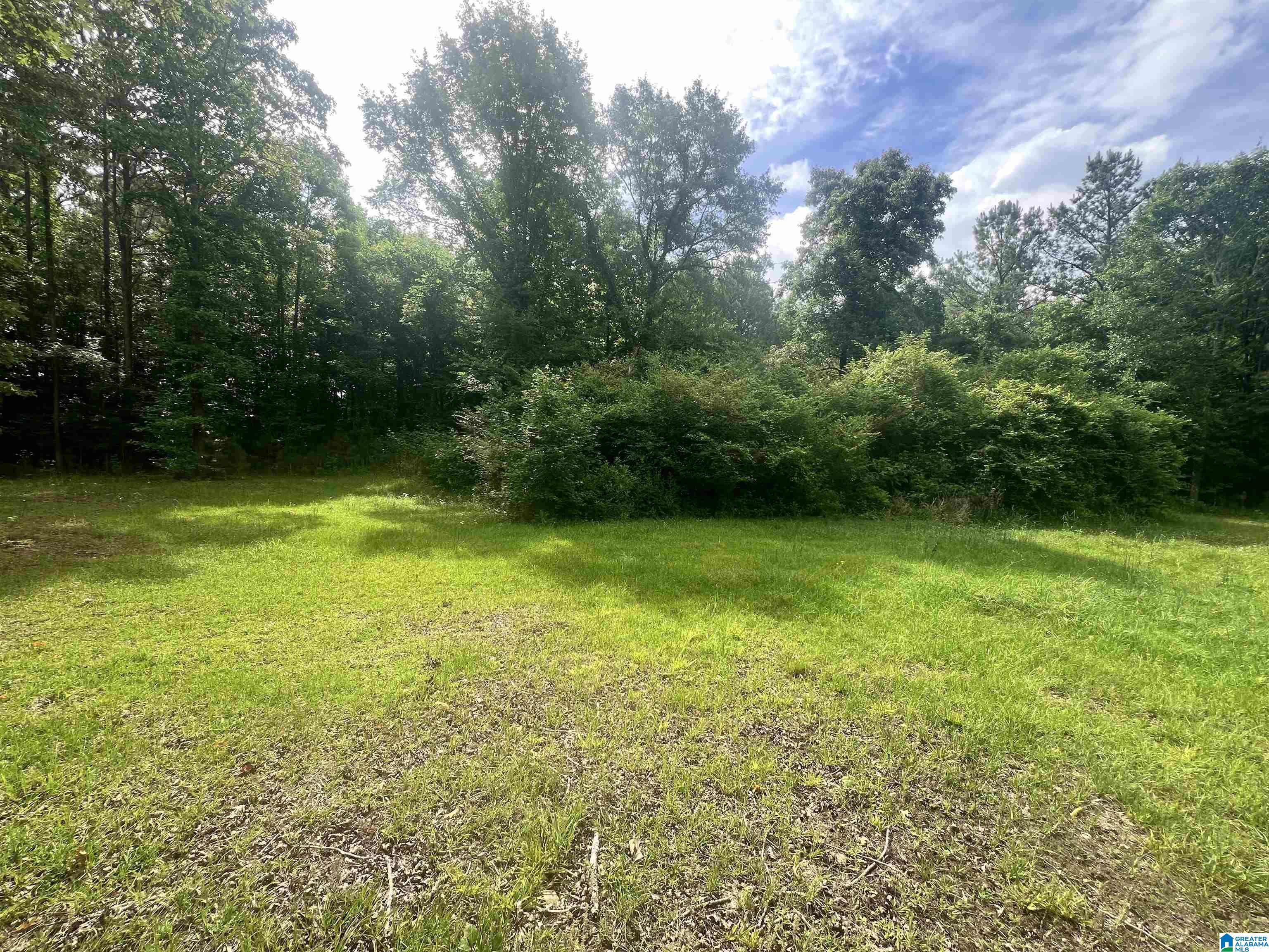930 Anniston Beach Road Anniston, AL 36206 - Photo 22 of 23