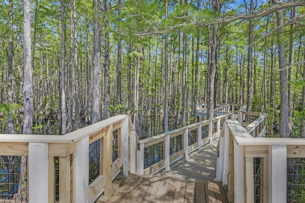 $11,900 | 187 Cypress Drive, Santa Rosa Beach, FL 32459