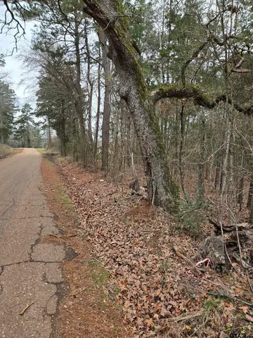 a view of a yard with trees