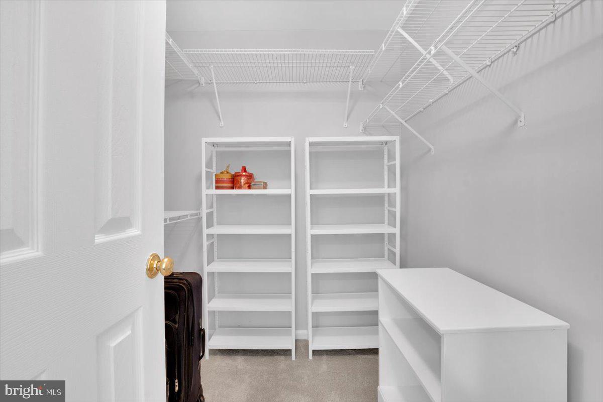 7523 Westmore Drive Springfield, VA 22150 - Photo 21 of 37 a view of walk in closet with empty racks