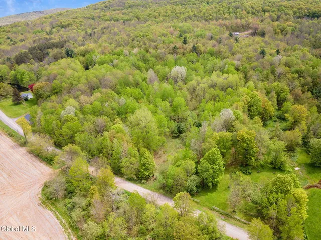 $79,900 | L11 Sternberg Road, Jefferson, NY 12093