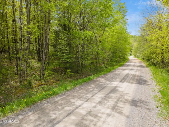 $79,900 | L11 Sternberg Road, Jefferson, NY 12093