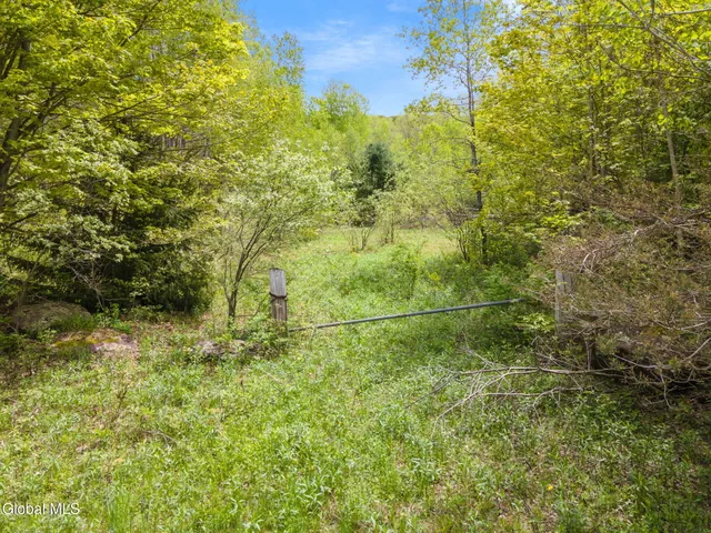 $79,900 | L11 Sternberg Road, Jefferson, NY 12093