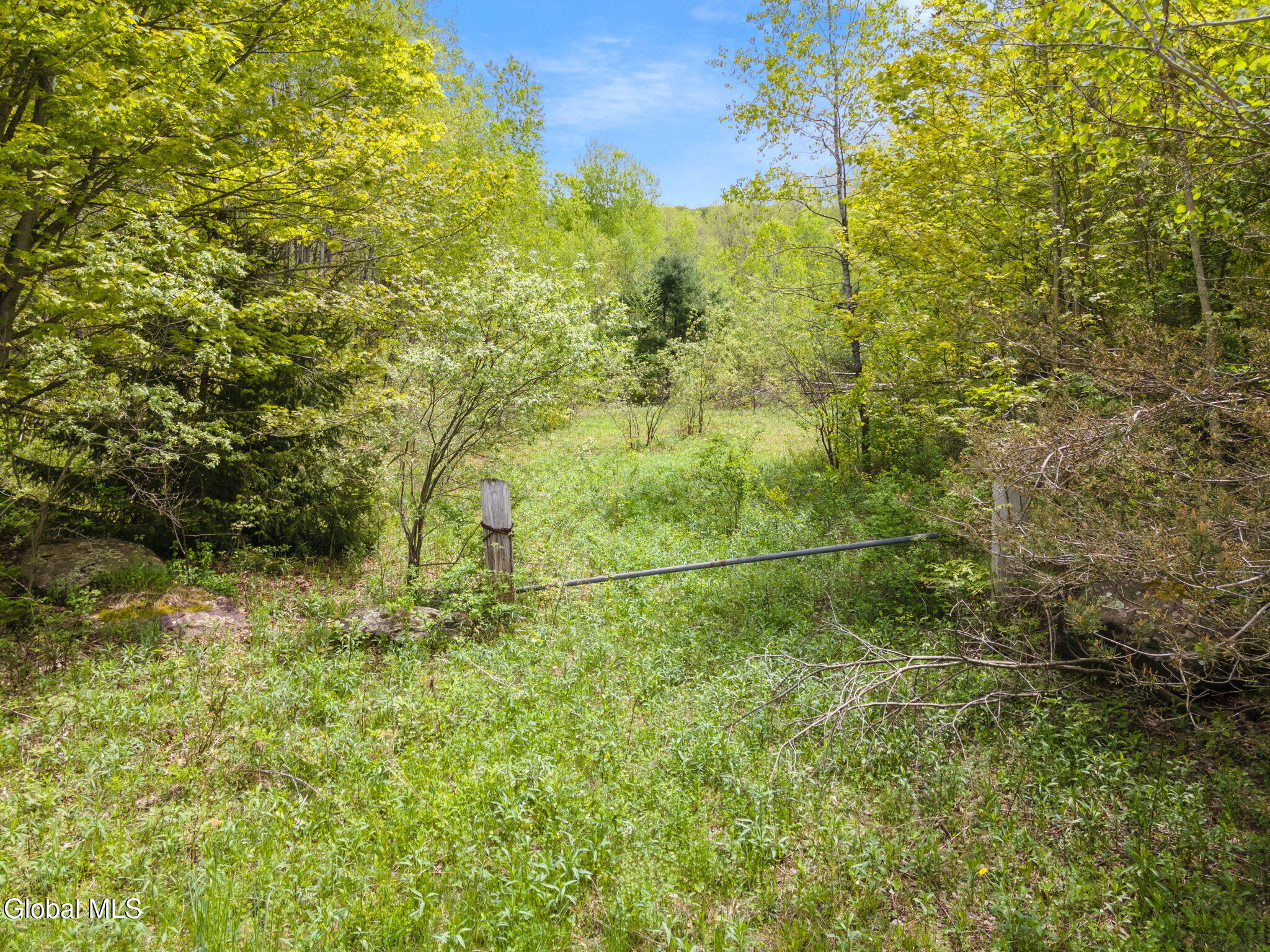 L11 Sternberg Road Jefferson, NY 12093 - Photo 4 of 11 4-SternbergRd_04