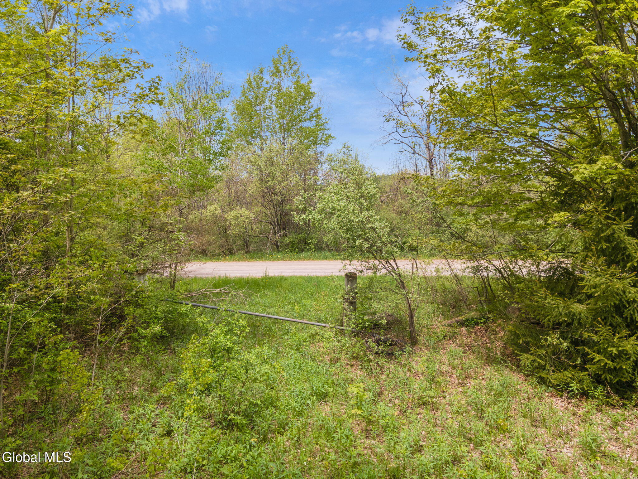 L11 Sternberg Road Jefferson, NY 12093 - Photo 5 of 11 6-SternbergRd_06
