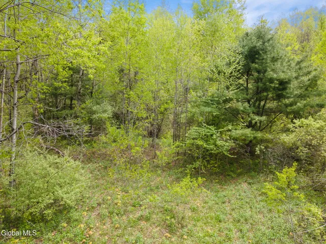 $79,900 | L11 Sternberg Road, Jefferson, NY 12093