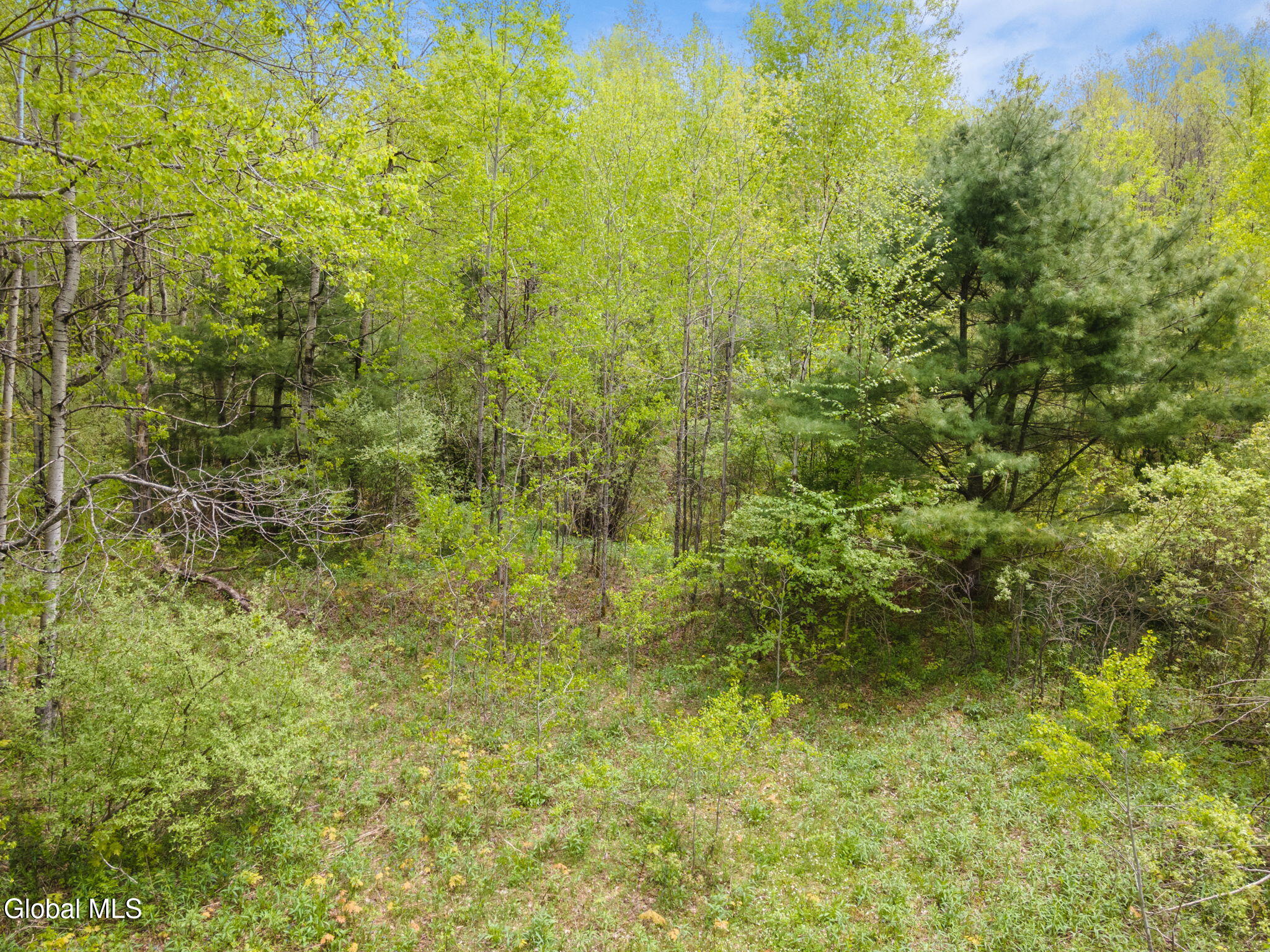 L11 Sternberg Road Jefferson, NY 12093 - Photo 6 of 11 7-SternbergRd_07