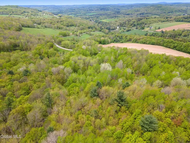 $79,900 | L11 Sternberg Road, Jefferson, NY 12093