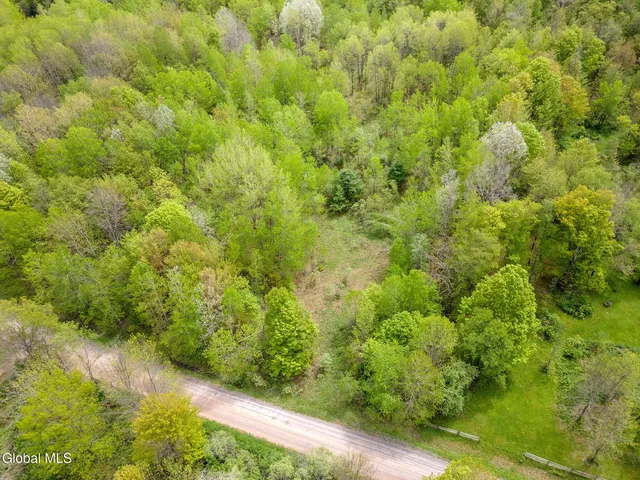 $79,900 | L11 Sternberg Road, Jefferson, NY 12093