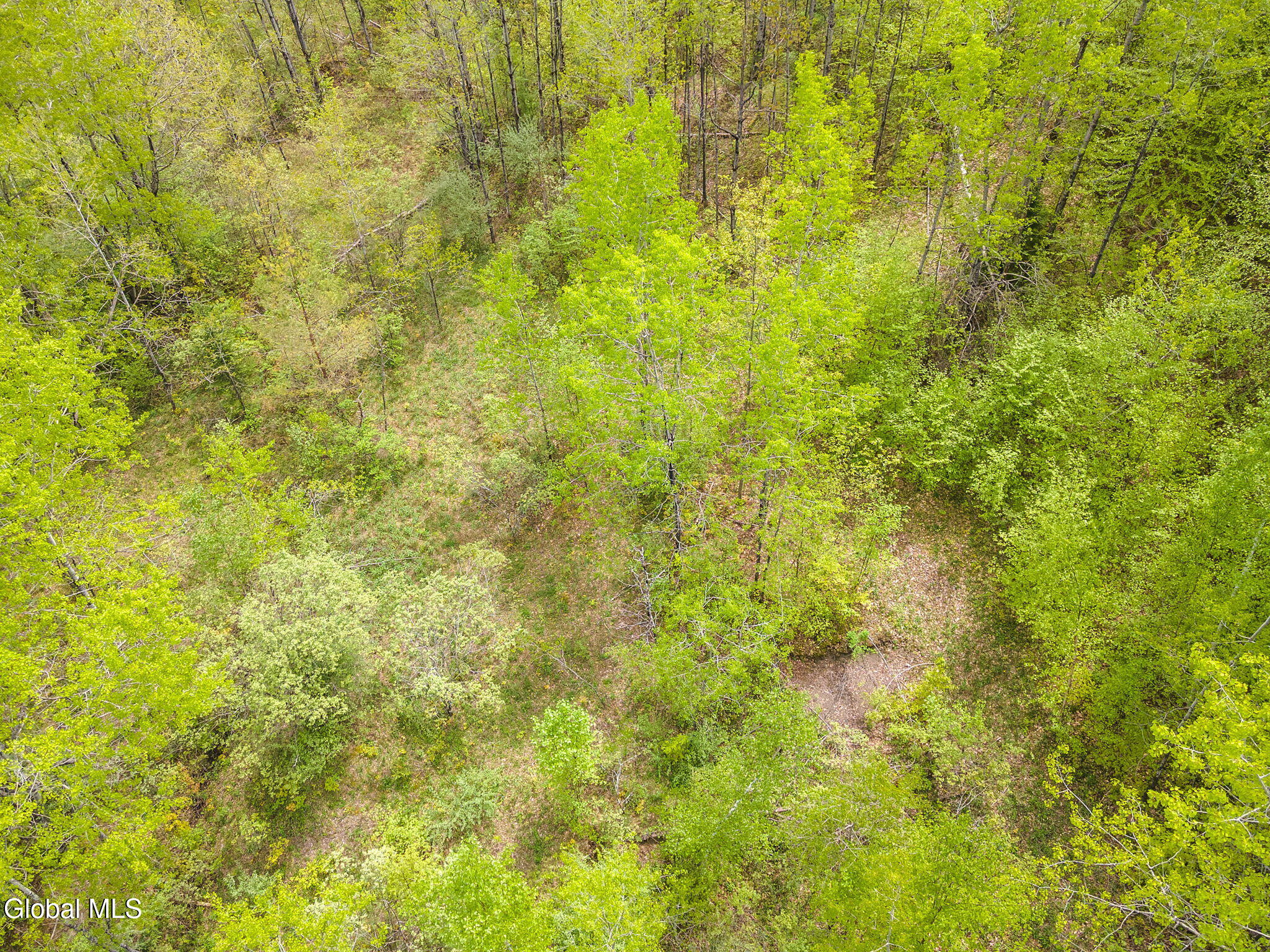 L11 Sternberg Road Jefferson, NY 12093 - Photo 10 of 11 9-SternbergRd_09