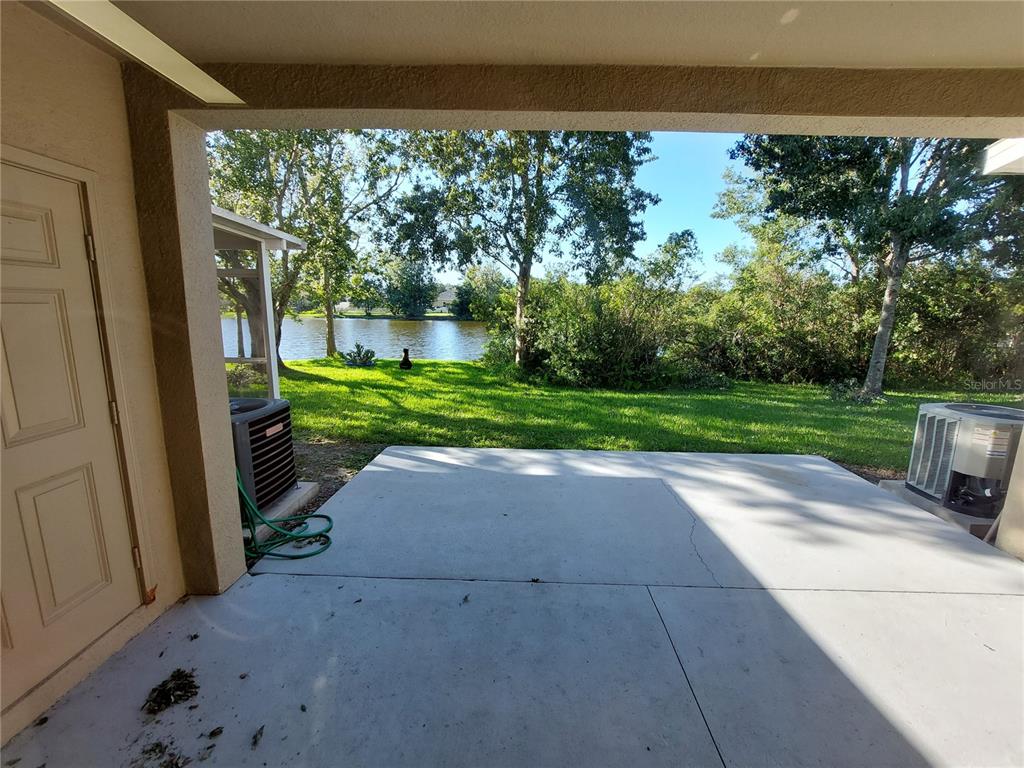 3521 Red Rock Drive Land O Lakes, FL 34639 - Photo 13 of 13 a view of backyard with large trees and plants