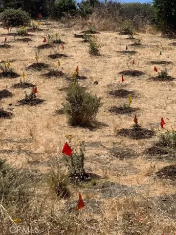 $199,000 | 0 Ingerson Avenue, San Francisco, CA 94124