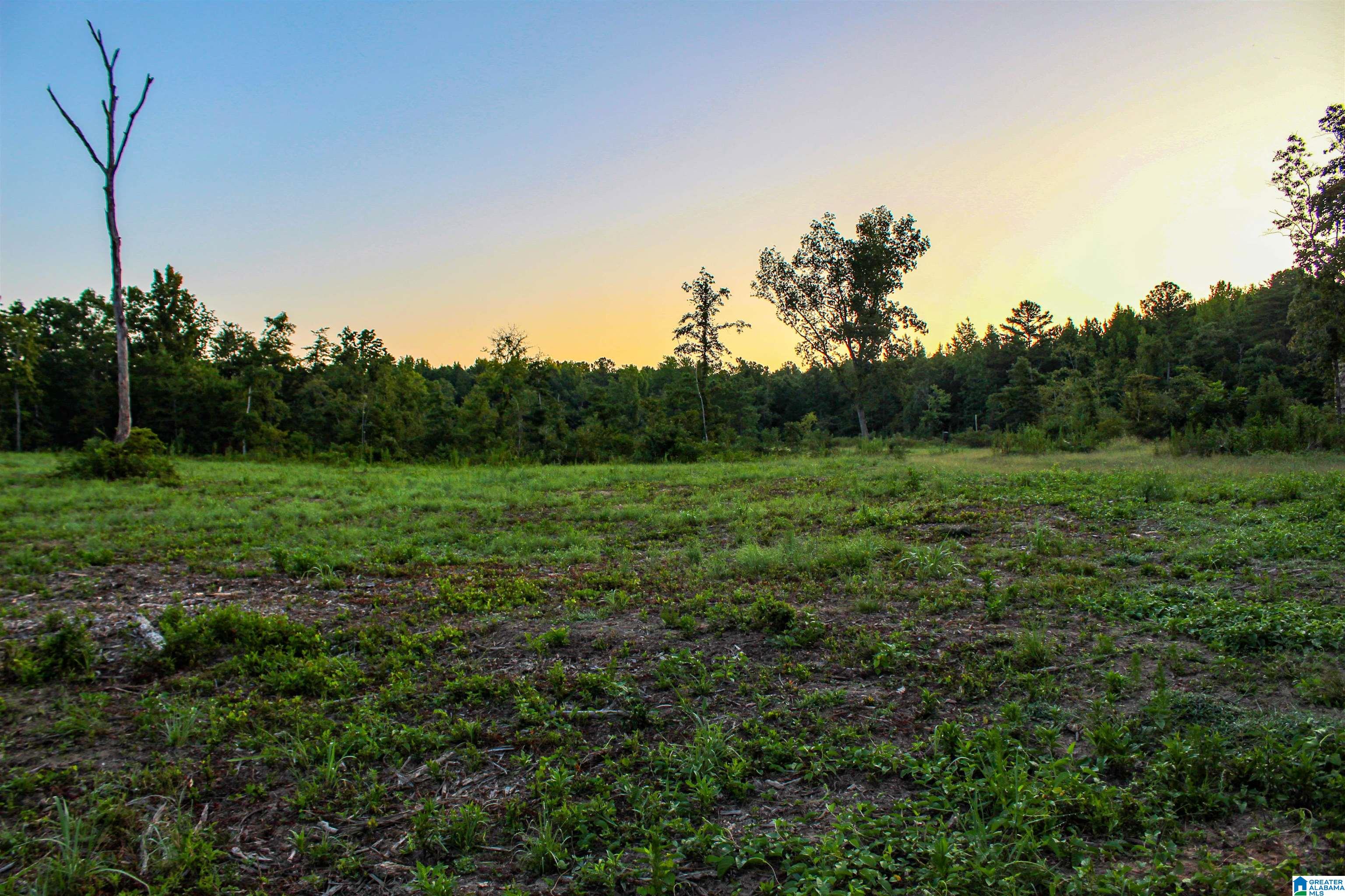 Bonner Drive, Unit 1 Berry, AL 35546 - Photo 27 of 56