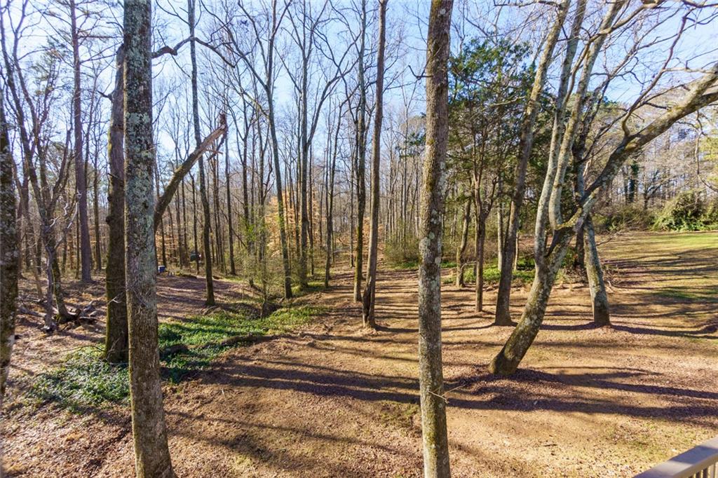 4799 Drew Road Alpharetta, GA 30004 - Photo 39 of 49