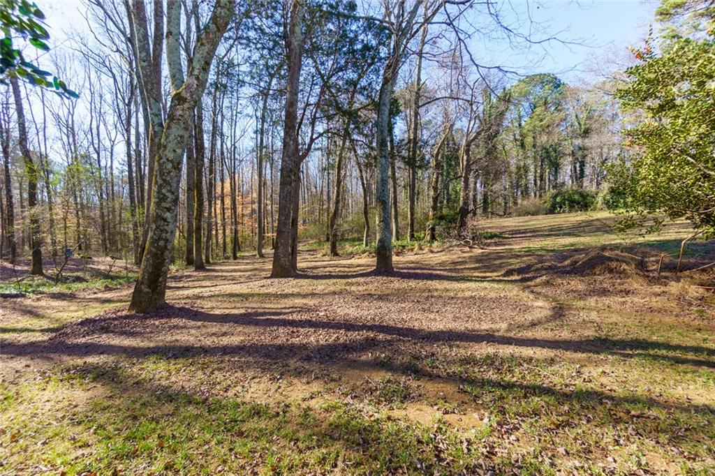 4799 Drew Road Alpharetta, GA 30004 - Photo 40 of 49