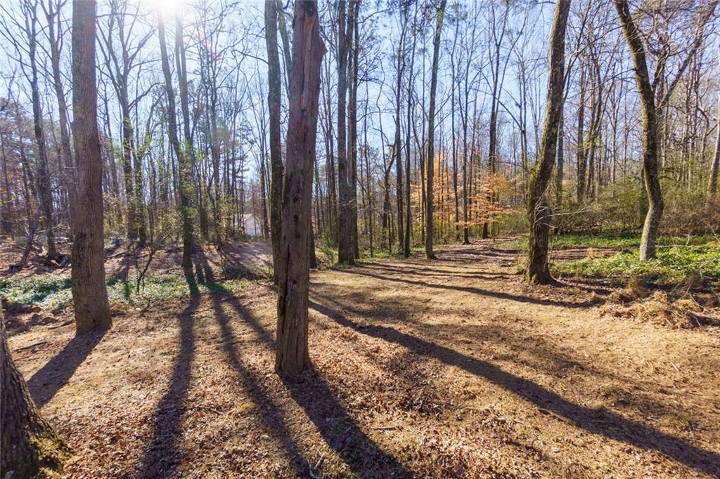 4799 Drew Road Alpharetta, GA 30004 - Photo 41 of 49