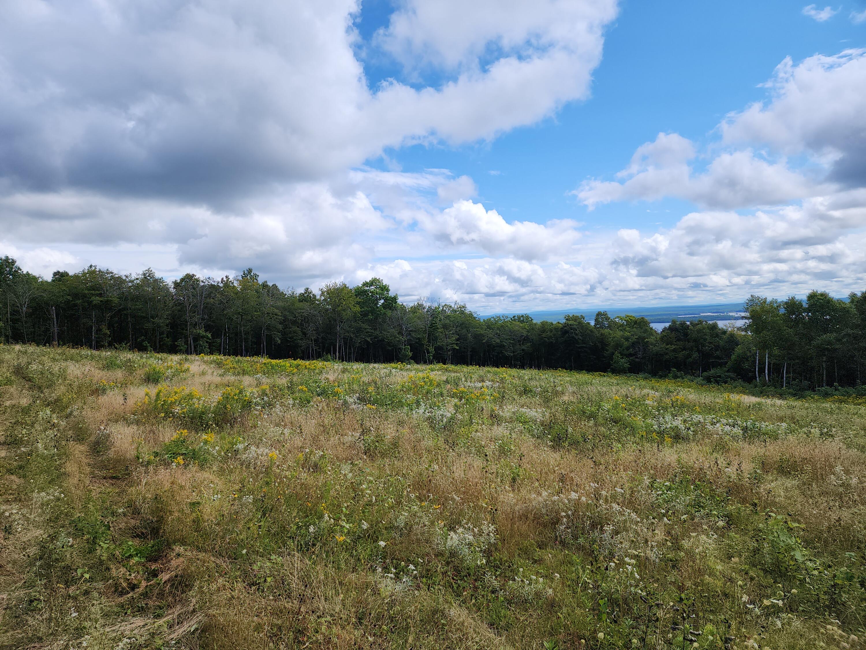 Off Dow Farm Road Island Falls, ME 04747 - Photo 2 of 10 20230826_125812