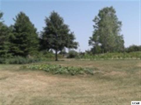 10345 Teachout Road Onsted, MI 49265 - Photo 16 of 16 20097949-15.JPG