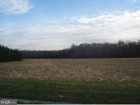 Stockley Road Milton, DE 19968 - Photo 2 of 4 Gallery Image 2