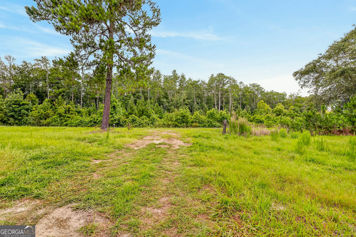 6401 Riverside Road, Unit TRACT 2 Nahunta, GA 31553 - Photo 37 of 42