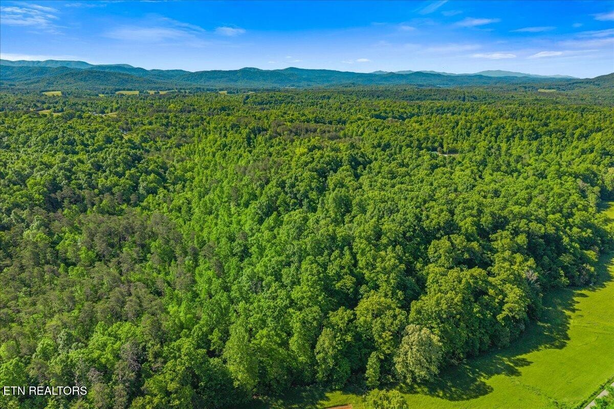 0 Shaddon Road Tellico Plains, TN 37385 - Photo 17 of 17 a view of an outdoor space and a yard