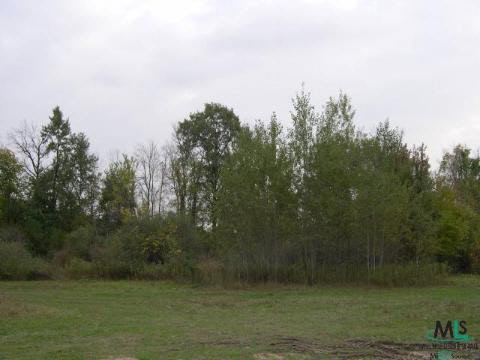 2268 Imlay City Road Lapeer, MI 48446 - Photo 3 of 3 573066-2.JPG