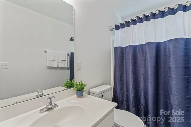 a bathroom with a sink a toilet and shower curtain
