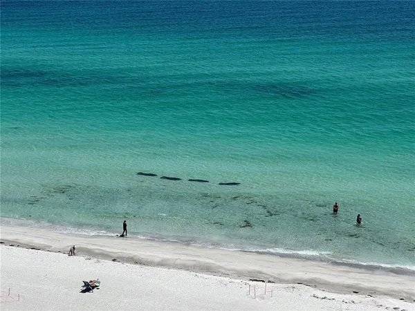 $12,000 | 2425 Gulf Of Mexico Drive, Unit 11F, Longboat Key, FL 34228