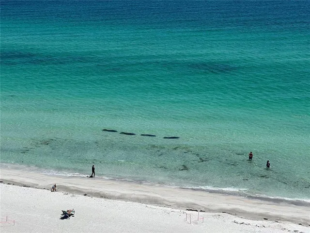 $12,000 | 2425 Gulf Of Mexico Drive, Unit 11F, Longboat Key, FL 34228